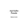 Aşk Kalbe Pusuda – Serkan Hafo kitap kapağı